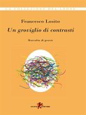 Un groviglio di contrasti (eBook, ePUB) Un groviglio di contrasti (eBook, ePUB)