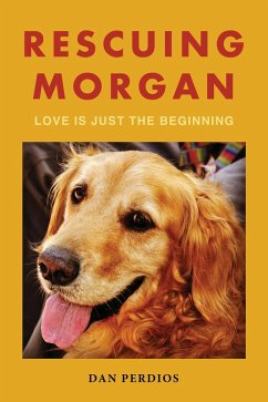 Rescuing Morgan (eBook, ePUB) - Perdios, Dan