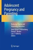 Adolescent Pregnancy and Parenting (eBook, PDF)