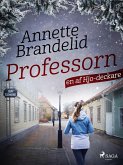 Professorn (eBook, ePUB)