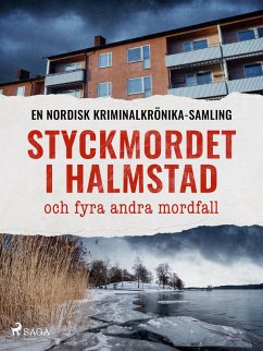 Cover Styckmordet i Halmstad och fyra andra mordfall (eBook, ePUB)