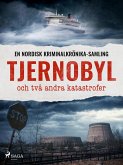 Tjernobyl och två andra katastrofer (eBook, ePUB)