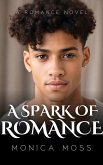 A Spark of Romance (The Chance Encounters Series, #11) (eBook, ePUB)