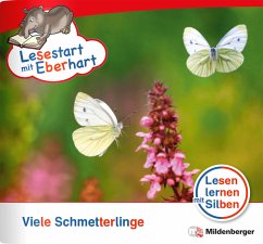 Lesestart mit Eberhart: Viele Schmetterlinge - Drecktrah, Stefanie;Brandau, Nicole