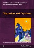 Migration und Psychose (eBook, PDF)