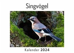 Singvögel (Wandkalender 2024, Kalender DIN A4 quer, Monatskalender im Querformat mit Kalendarium, Das perfekte Geschenk) - Müller, Anna