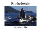 Buckelwale (Wandkalender 2024, Kalender DIN A4 quer, Monatskalender im Querformat mit Kalendarium, Das perfekte Geschenk)