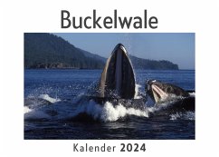 Buckelwale (Wandkalender 2024, Kalender DIN A4 quer, Monatskalender im Querformat mit Kalendarium, Das perfekte Geschenk) - Müller, Anna