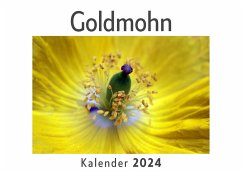 Goldmohn (Wandkalender 2024, Kalender DIN A4 quer, Monatskalender im Querformat mit Kalendarium, Das perfekte Geschenk) - Müller, Anna