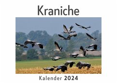 Kraniche (Wandkalender 2024, Kalender DIN A4 quer, Monatskalender im Querformat mit Kalendarium, Das perfekte Geschenk) - Müller, Anna