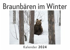 Braunbären im Winter (Wandkalender 2024, Kalender DIN A4 quer, Monatskalender im Querformat mit Kalendarium, Das perfekte Geschenk) - Müller, Anna