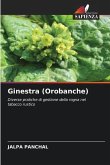 Ginestra (Orobanche)