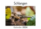 Schlangen (Wandkalender 2024, Kalender DIN A4 quer, Monatskalender im Querformat mit Kalendarium, Das perfekte Geschenk)