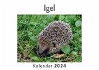 Igel (Wandkalender 2024, Kalender DIN A4 quer, Monatskalender im Querformat mit Kalendarium, Das perfekte Geschenk)