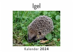 Igel (Wandkalender 2024, Kalender DIN A4 quer, Monatskalender im Querformat mit Kalendarium, Das perfekte Geschenk) - Müller, Anna