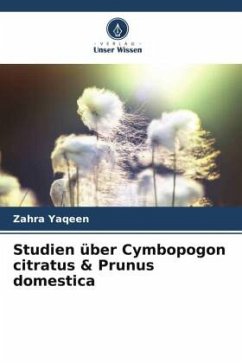 Studien über Cymbopogon citratus & Prunus domestica - Yaqeen, Zahra