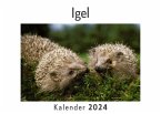 Igel (Wandkalender 2024, Kalender DIN A4 quer, Monatskalender im Querformat mit Kalendarium, Das perfekte Geschenk)