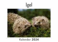 Igel (Wandkalender 2024, Kalender DIN A4 quer, Monatskalender im Querformat mit Kalendarium, Das perfekte Geschenk) - Müller, Anna