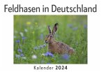 Feldhasen in Deutschland (Wandkalender 2024, Kalender DIN A4 quer, Monatskalender im Querformat mit Kalendarium, Das perfekte Geschenk)