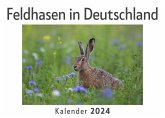 Feldhasen in Deutschland (Wandkalender 2024, Kalender DIN A4 quer, Monatskalender im Querformat mit Kalendarium, Das perfekte Geschenk)