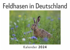 Feldhasen in Deutschland (Wandkalender 2024, Kalender DIN A4 quer, Monatskalender im Querformat mit Kalendarium, Das perfekte Geschenk) - Müller, Anna