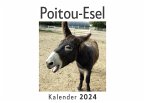 Poitou-Esel (Wandkalender 2024, Kalender DIN A4 quer, Monatskalender im Querformat mit Kalendarium, Das perfekte Geschenk)