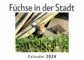 Füchse in der Stadt (Wandkalender 2024, Kalender DIN A4 quer, Monatskalender im Querformat mit Kalendarium, Das perfekte Geschenk)