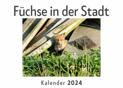 Füchse in der Stadt (Wandkalender 2024, Kalender DIN A4 quer, Monatskalender im Querformat mit Kalendarium, Das perfekte Geschenk) - Müller, Anna