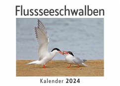 Flussseeschwalben (Wandkalender 2024, Kalender DIN A4 quer, Monatskalender im Querformat mit Kalendarium, Das perfekte Geschenk) - Müller, Anna