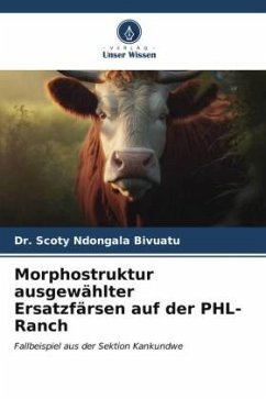 Morphostruktur ausgewählter Ersatzfärsen auf der PHL-Ranch - Ndongala Bivuatu, Dr. Scoty