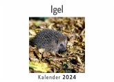 Igel (Wandkalender 2024, Kalender DIN A4 quer, Monatskalender im Querformat mit Kalendarium, Das perfekte Geschenk)