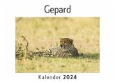 Gepard (Wandkalender 2024, Kalender DIN A4 quer, Monatskalender im Querformat mit Kalendarium, Das perfekte Geschenk)