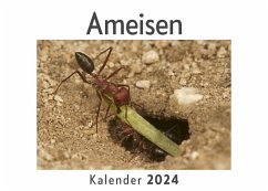 Ameisen (Wandkalender 2024, Kalender DIN A4 quer, Monatskalender im Querformat mit Kalendarium, Das perfekte Geschenk) - Müller, Anna