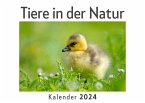 Tiere in der Natur (Wandkalender 2024, Kalender DIN A4 quer, Monatskalender im Querformat mit Kalendarium, Das perfekte Geschenk)