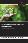 Environmental and social risk management