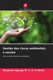 Gestão dos riscos ambientais e sociais