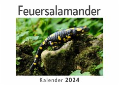 Feuersalamander (Wandkalender 2024, Kalender DIN A4 quer, Monatskalender im Querformat mit Kalendarium, Das perfekte Geschenk) - Müller, Anna