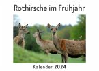 Rothirsche im Frühjahr (Wandkalender 2024, Kalender DIN A4 quer, Monatskalender im Querformat mit Kalendarium, Das perfekte Geschenk)