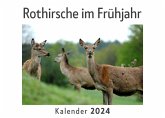 Rothirsche im Frühjahr (Wandkalender 2024, Kalender DIN A4 quer, Monatskalender im Querformat mit Kalendarium, Das perfekte Geschenk) Rothirsche im Frühjahr (Wandkalender 2024, Kalender DIN A4 quer, Monatskalender im Querformat mit Kalendarium, Das perfekte Geschenk)