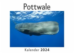 Pottwale (Wandkalender 2024, Kalender DIN A4 quer, Monatskalender im Querformat mit Kalendarium, Das perfekte Geschenk) - Müller, Anna