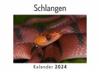 Schlangen (Wandkalender 2024, Kalender DIN A4 quer, Monatskalender im Querformat mit Kalendarium, Das perfekte Geschenk)