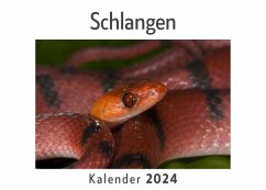 Schlangen (Wandkalender 2024, Kalender DIN A4 quer, Monatskalender im Querformat mit Kalendarium, Das perfekte Geschenk) - Müller, Anna