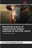 Morphostructure of replacement heifers selected at the PHL ranch