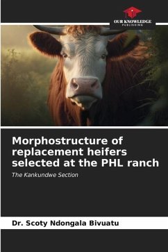 Morphostructure of replacement heifers selected at the PHL ranch - Ndongala Bivuatu, Dr. Scoty