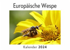 Europäische Wespe (Wandkalender 2024, Kalender DIN A4 quer, Monatskalender im Querformat mit Kalendarium, Das perfekte Geschenk) - Müller, Anna
