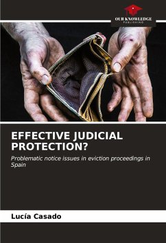 Cover EFFECTIVE JUDICIAL PROTECTION?