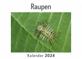Raupen (Wandkalender 2024, Kalender DIN A4 quer, Monatskalender im Querformat mit Kalendarium, Das perfekte Geschenk) Raupen (Wandkalender 2024, Kalender DIN A4 quer, Monatskalender im Querformat mit Kalendarium, Das perfekte Geschenk)