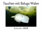 Tauchen mit Beluga Walen (Wandkalender 2024, Kalender DIN A4 quer, Monatskalender im Querformat mit Kalendarium, Das perfekte Geschenk)