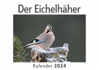 Der Eichelhäher (Wandkalender 2024, Kalender DIN A4 quer, Monatskalender im Querformat mit Kalendarium, Das perfekte Geschenk)