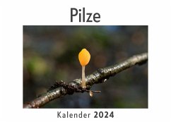 Pilze (Wandkalender 2024, Kalender DIN A4 quer, Monatskalender im Querformat mit Kalendarium, Das perfekte Geschenk) - Müller, Anna